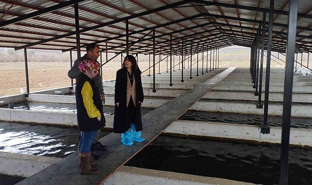 Tercan'da alabalık üretim tesisine denetim