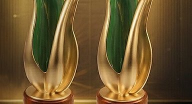 Trendyol'un sosyal etki projelerine uluslararası alanda iki ödül