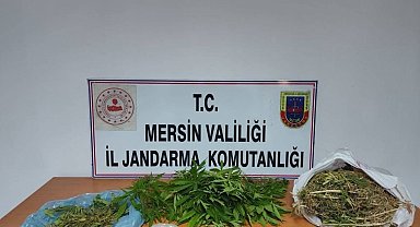 Uyuşturucu taciri yakalanıp tutuklandı