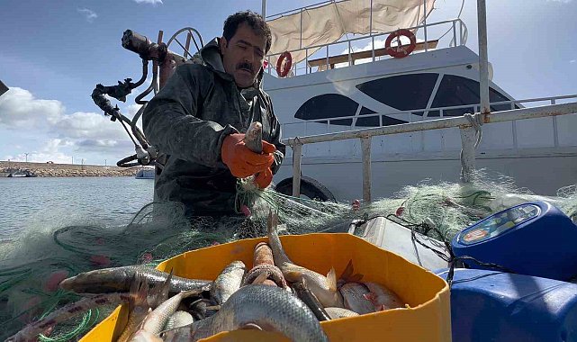 Van Gölü'nde inci kefali için av yasağı: Kaçak avlanmanın cezası 16 bin TL