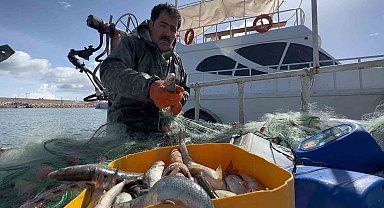 Van Gölü'nde inci kefali için av yasağı: Kaçak avlanmanın cezası 16 bin TL