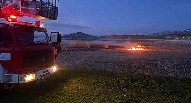 Van'da 2 farklı sazlık alanda yangın çıktı