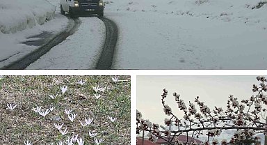 Van'da iki mevsim bir arada: Bir yanda bahar, diğer yanda kış