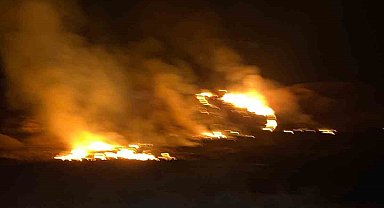 Van'da sazlık alanda yangın çıktı