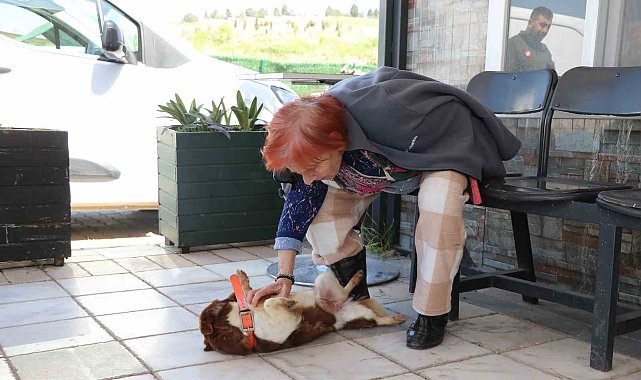 Yalova'da Cevriye teyze can dostu ile duygulandıran buluşma