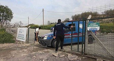 Yalova'daki barınakta köpek ölümleriyle ilgili soruşturma