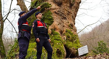 Yalova'da Jandarma turizm bölgelerinde güvenliği artırdı