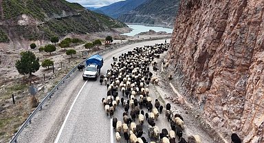 Yayla yolunda zorlu göçler başladı