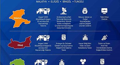 Yerel Kalkınma Hamlesi ile yatırımcılara 301 Milyon TL'ye kadar destek