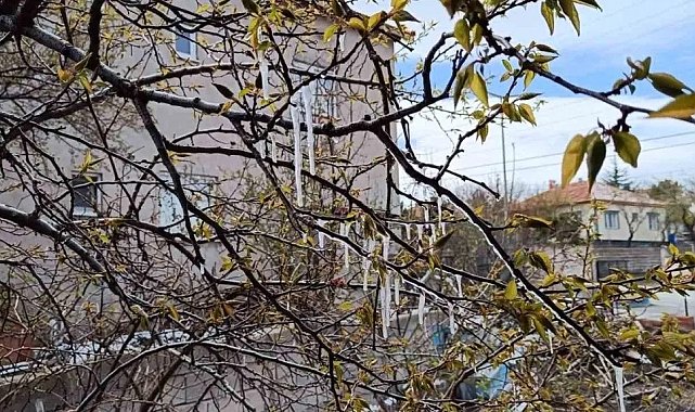Yozgat'ta çiftçiler zirai don tehlikesine karşı uyarıldı