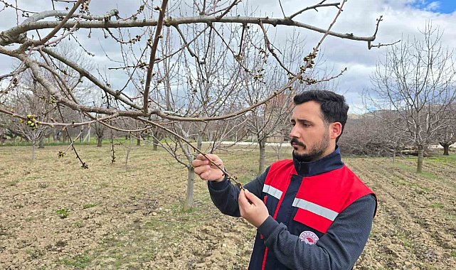 Zirai don olaylarına karşı meyve bahçelerinde kontroller sürüyor