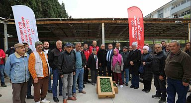 500 bin ata tohumundan üretilen fideler toprakla buluşuyor