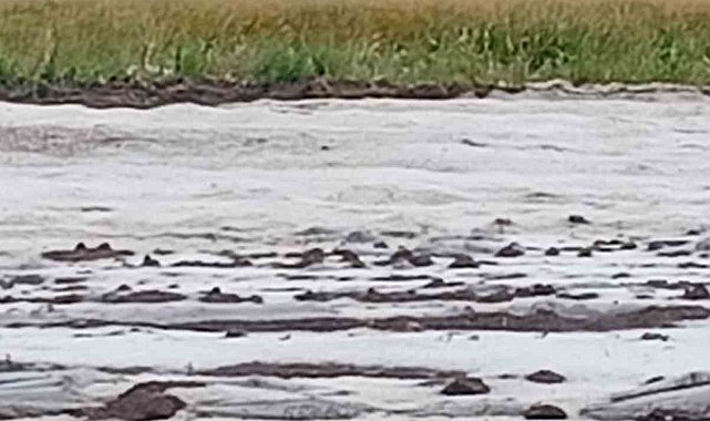Adana'da dolu yağışı etkili oldu