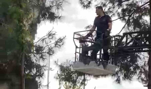 Ağaçta mahsur kalan kediyi itfaiye kurtardı