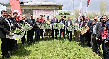 Ağrı Valiliği'nden Aşkale'ye 100 bin fide desteği