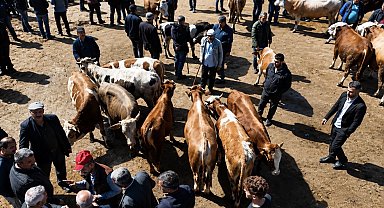 Ağrı'da kurban pazarı hareketlendi, sevkiyatlar arttı