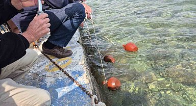 Akdeniz'den Ege'ye Doğa ve Dostluk Yürüyüşü Datça'da başladı