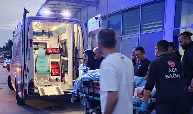 Alkollü sürücünün çarptığı kurye hayatını kaybetti