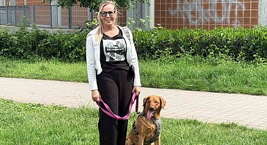Almanya'da köpek sahiplerine sigorta şartı