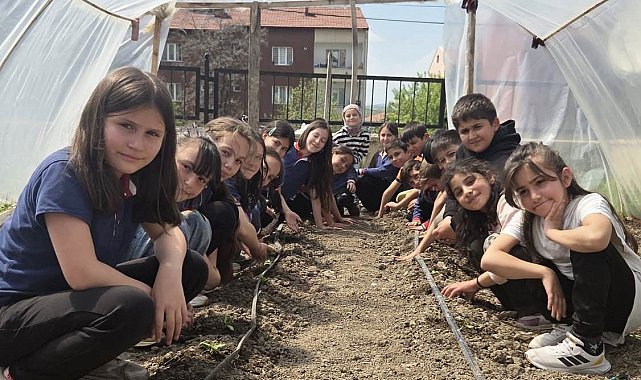 Altıntaş'ta minik öğrenciler salatalık fidelerinin ekimini gerçekleştirdi