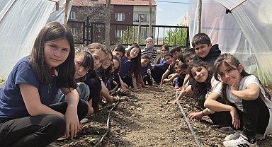 Altıntaş'ta minik öğrenciler salatalık fidelerinin ekimini gerçekleştirdi