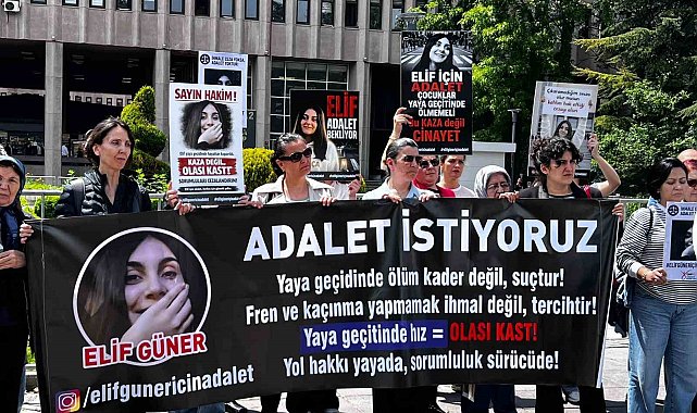 Ankara'da yaya geçidinde otomobilin çarpması ile hayatını kaybeden Elif'in davasına devam edildi