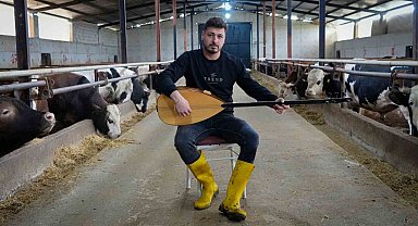 Ankaralı besici kurbanlık hayvanlarına saz çalıp, türkü söylüyor