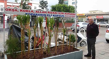 Annesinin çok sevdiği çiçeği, iş yerinin önünde mezarı andıran alanda 40 yıldır yaşatıyor