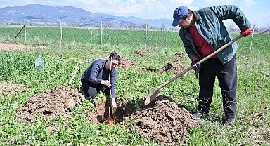 Antalya Büyükşehir ipek böceği yetiştiriciliğini yaygınlaştırıyor