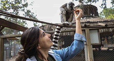 Antalya Doğal Yaşam Parkı'nda yavru lemur sevinci