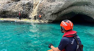 Antalya'da Akdeniz foklarının yeni yaşam alanı keşfedilip koruma altına alındı