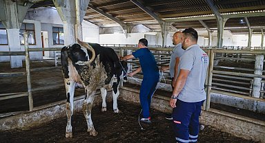 Antalya'da kurban yakalama timi göreve hazır