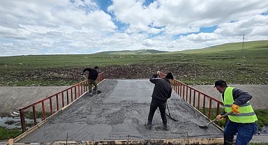 Ardahan'da hayvanların meralara geçişi için köprü yapıldı