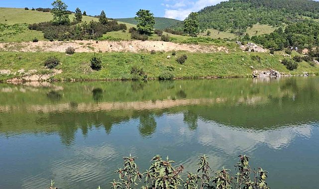 Arkadaşlarıyla girdiği gölette can verdi