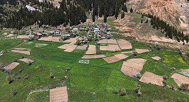 Artvin'de 1400 rakımda imece usulü doğal tarım
