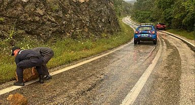 Aşırı yağış sonrası kayalar yola düştü