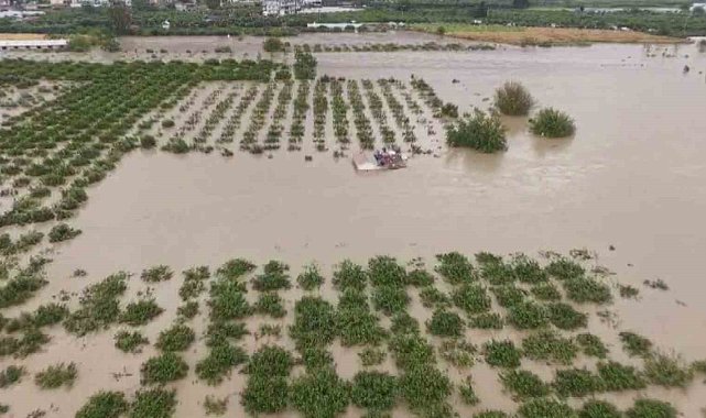 Aşırı yağışlarla sular altında kalan tarım arazilerindeki hasar sular çekilince ortaya çıktı