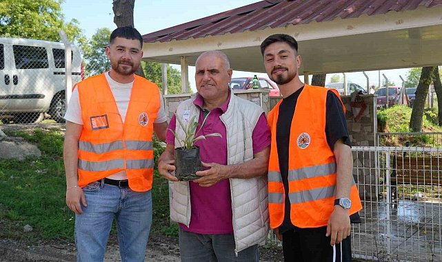 Atakum Belediyesinden kabir ziyareti yapan vatandaşlara çiçek fidesi