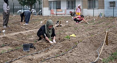 Avrupa'dan Bornova'ya kent bostanı incelemesi