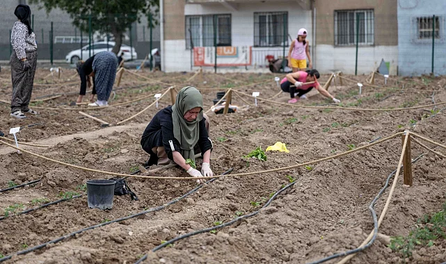 Avrupa'dan Bornova'ya kent bostanı incelemesi