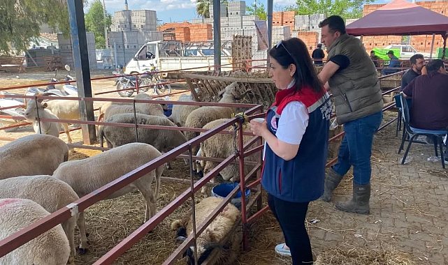 Aydın'da Kurban Bayramı boyunca denetimler sürecek