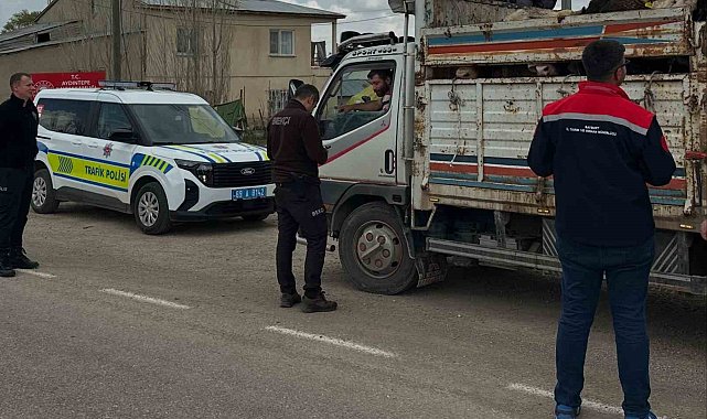 Aydıntepe'de Kurban Bayramı öncesi hayvan nakilleri denetleniyor
