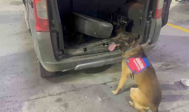 Bagaj ve kaputa gizlenen uyuşturucuyu narkotik köpeği 'Ayar' buldu