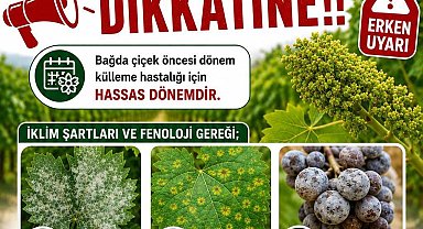 Bağlarda üreticilere ilaçlama uyarısı