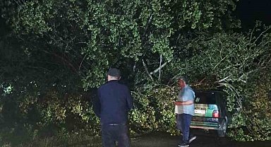 Bartın'da şiddetli fırtına: ağaçlar Otomobillerin üzerine devrildi