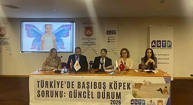 Başıboş köpek mağdurları panelde buluştu