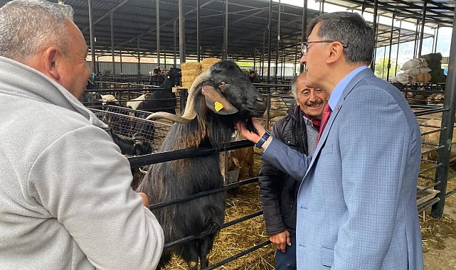 Başkan Eyüp Kahveci'den Kurban Pazarı ziyareti