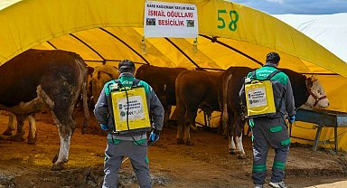 Başkent'te kurban alanlarına sıkı denetim