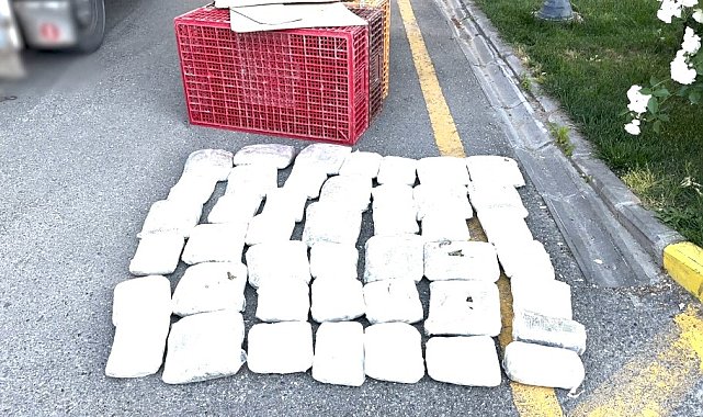 Batman'da 20 kilo skunk ele geçirildi