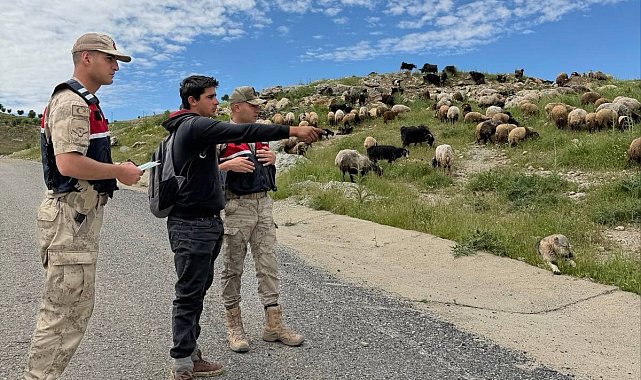 Batman'da Jandarma, Kurban Bayramı öncesi hırsızlara karşı besicileri uyardı